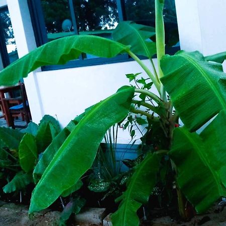 Bungalow Ramena Beach Antsiranana Andjamen ภายนอก รูปภาพ