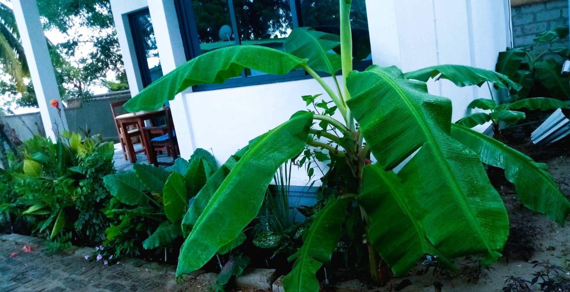 Bungalow Ramena Beach Antsiranana Andjamen ภายนอก รูปภาพ
