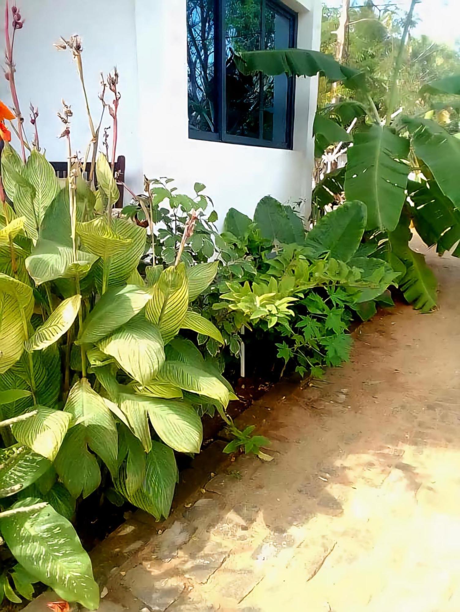 Bungalow Ramena Beach Antsiranana Andjamen ภายนอก รูปภาพ